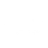 Fast Shipping