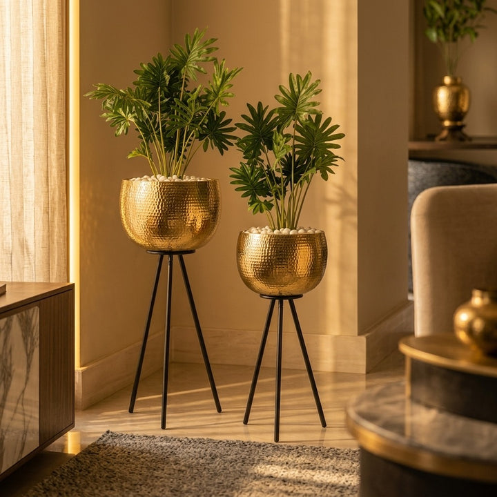 Evlis Luxury   Planters Set of 2