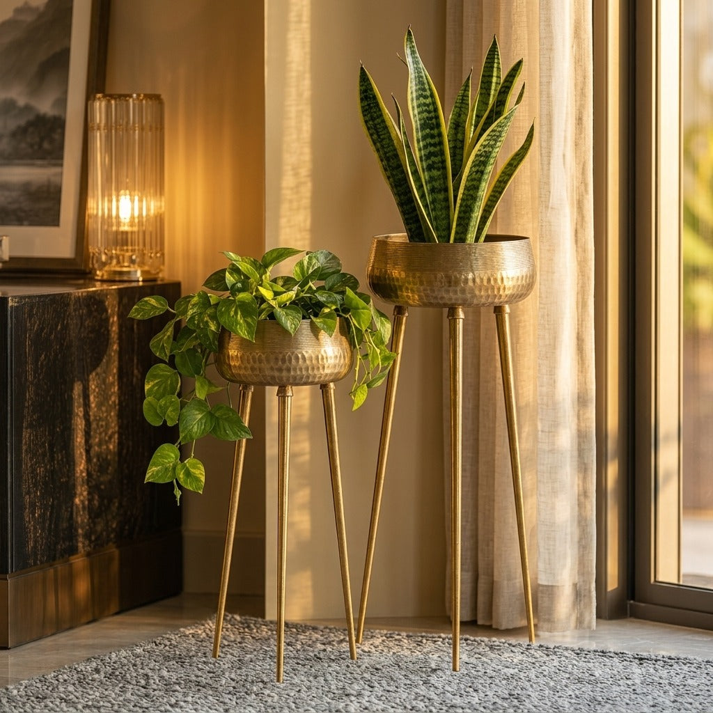 Adore Luxury Planters Set of 2