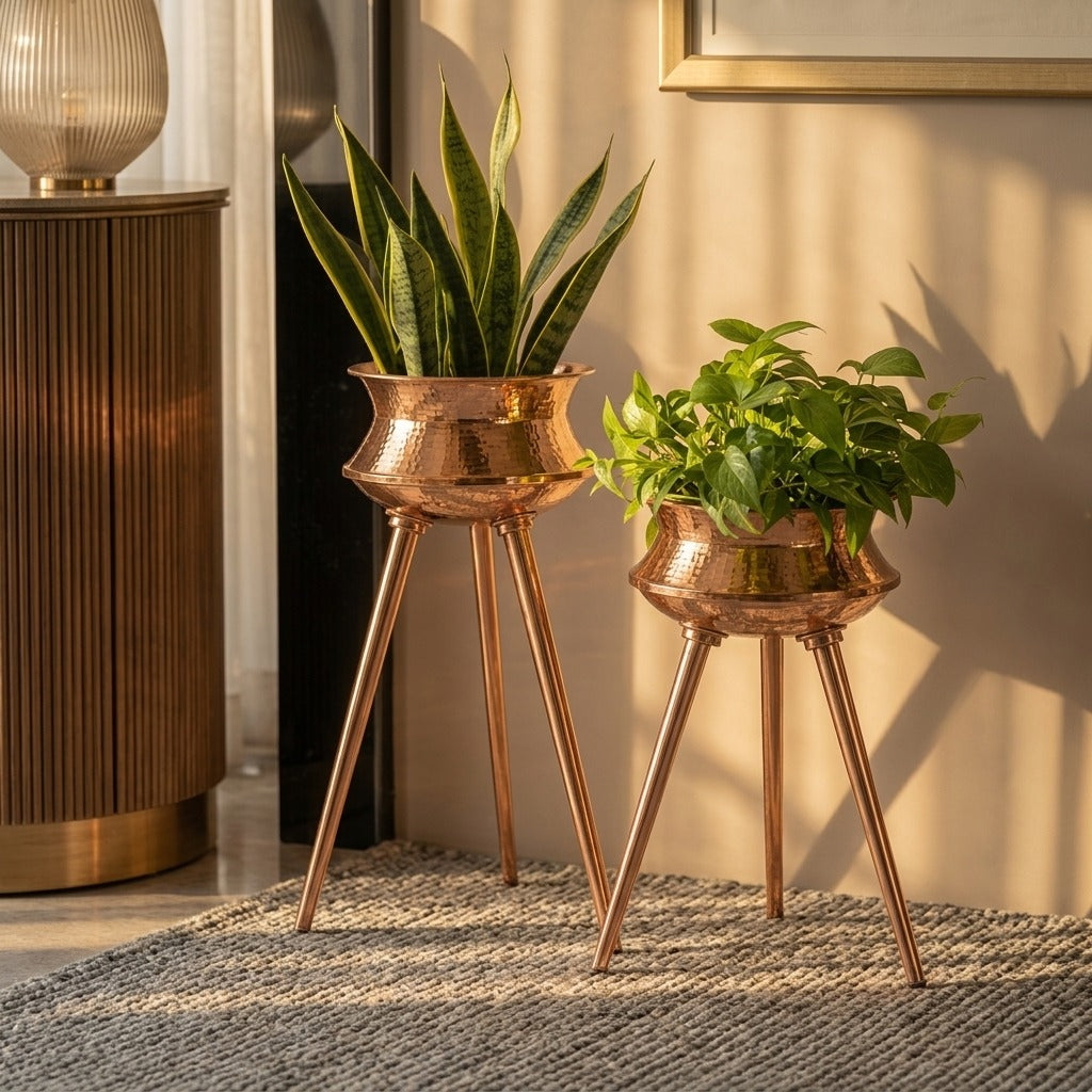 Molar Luxury Planters Set of 2