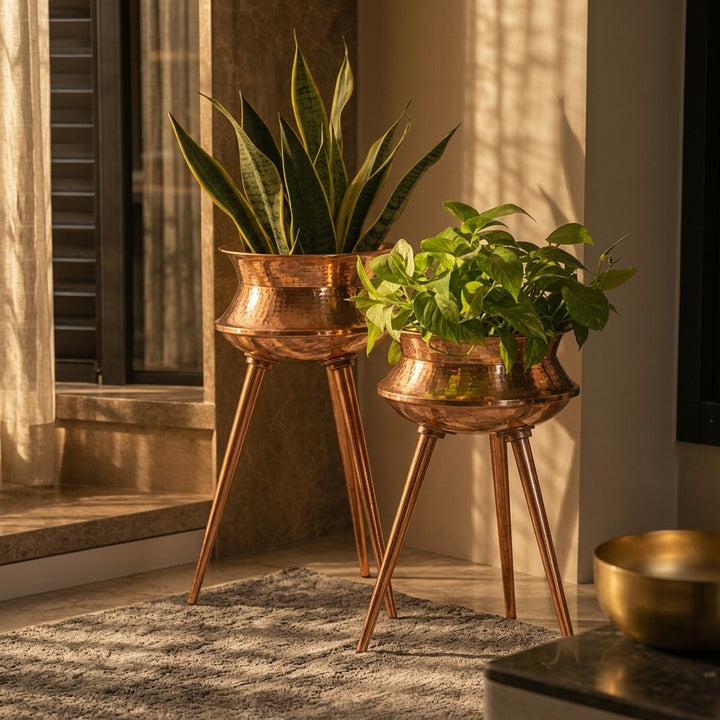 Molar Luxury Planters Set of 2