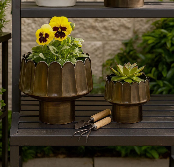 Dino Luxury planter set of 2