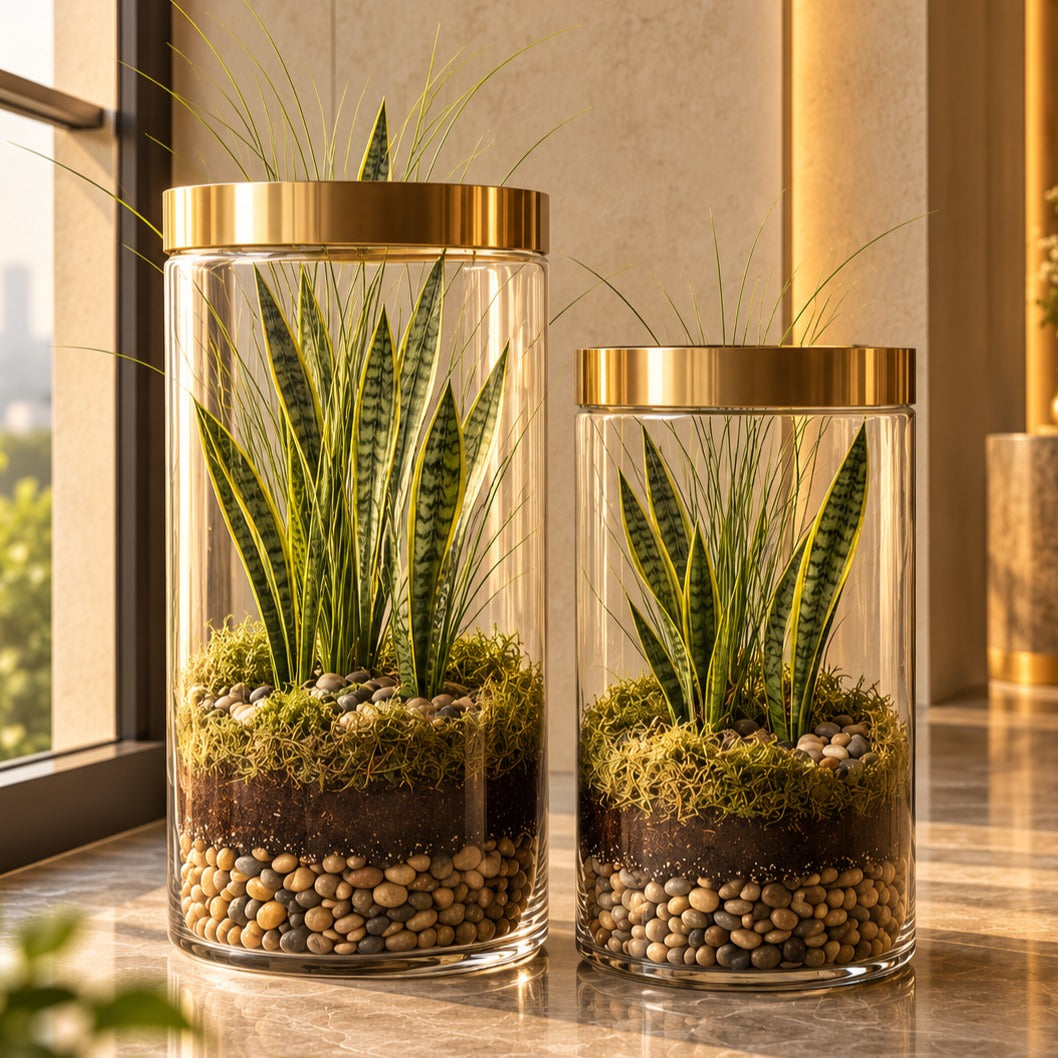 Verdant Acralic Planter Set of 2