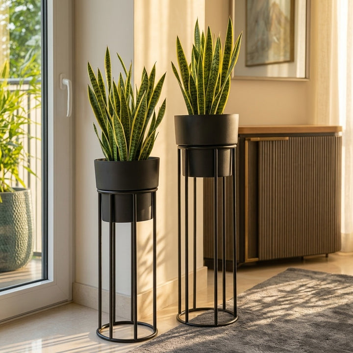 Magolia  Planters   Set   of   2