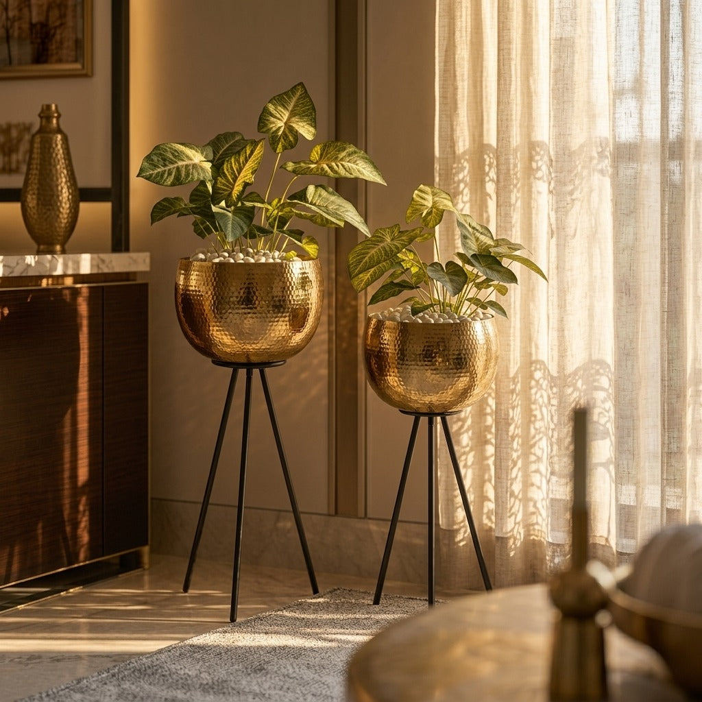 Evlis Luxury   Planters Set of 2
