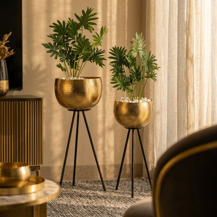 Evlis Luxury   Planters Set of 2