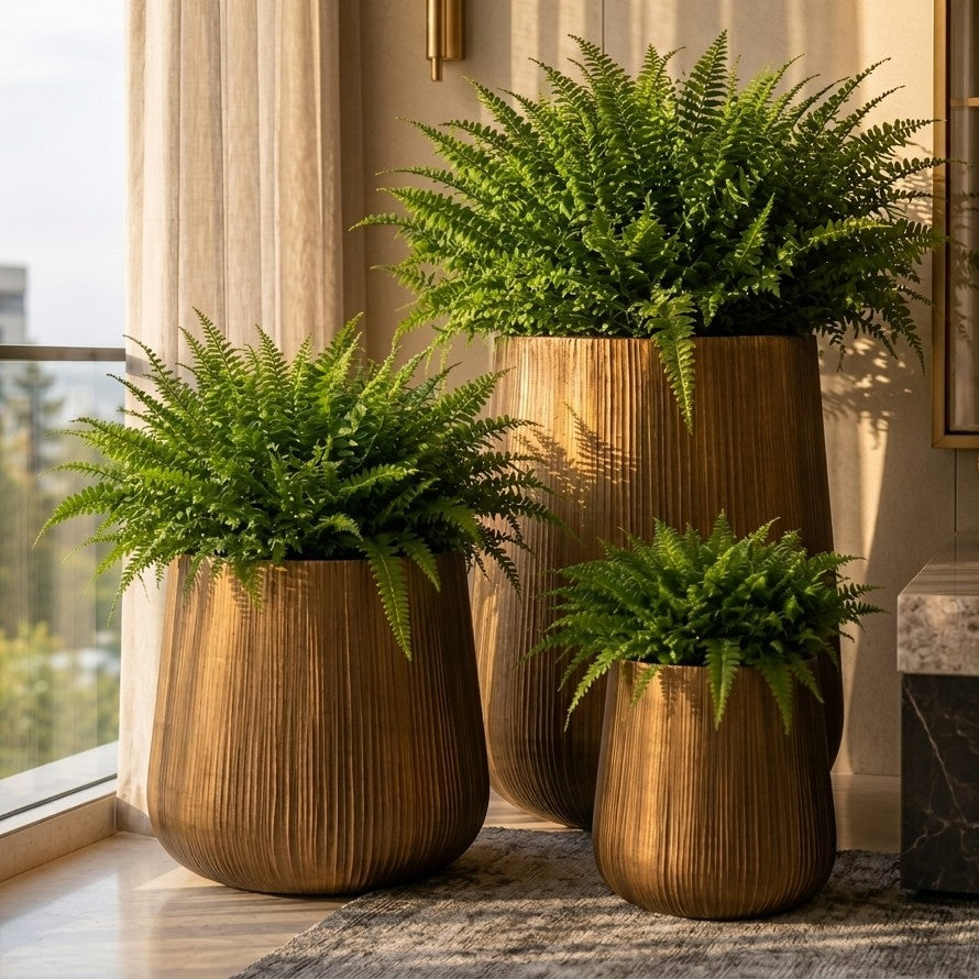 Zara Luxury pot planter set of 3