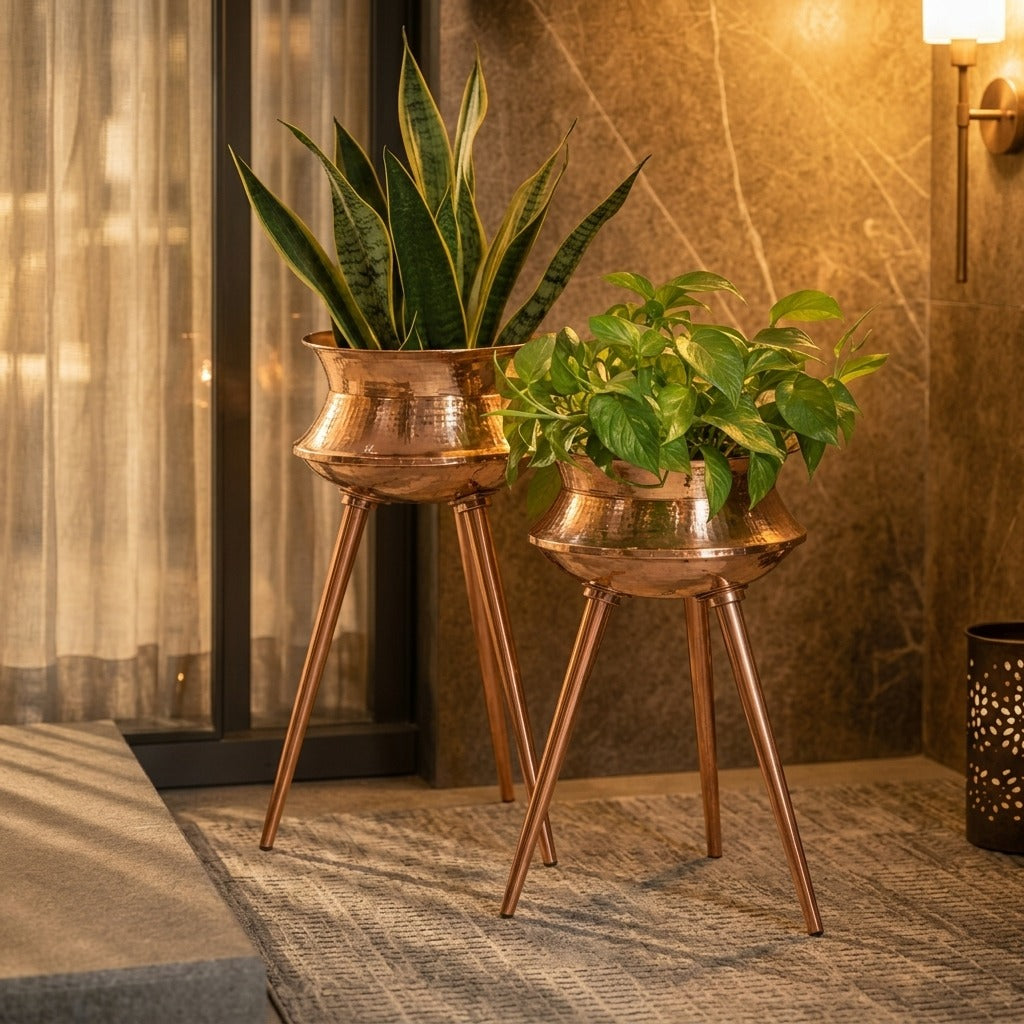 Molar Luxury Planters Set of 2
