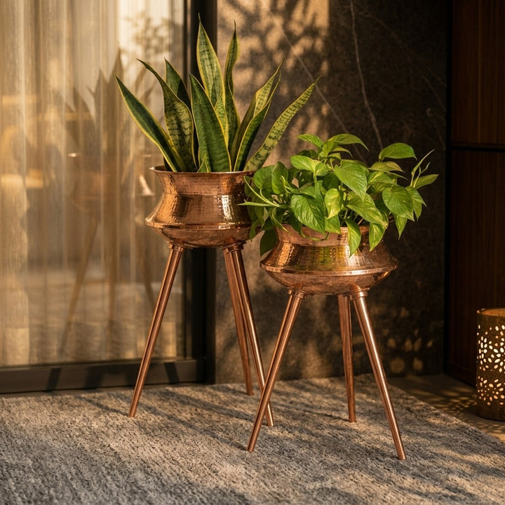 Molar Luxury Planters Set of 2
