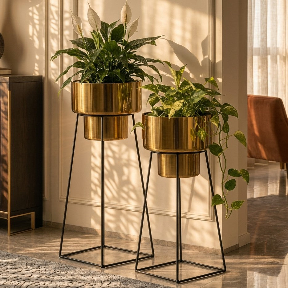 Lufa Planters Set of 2
