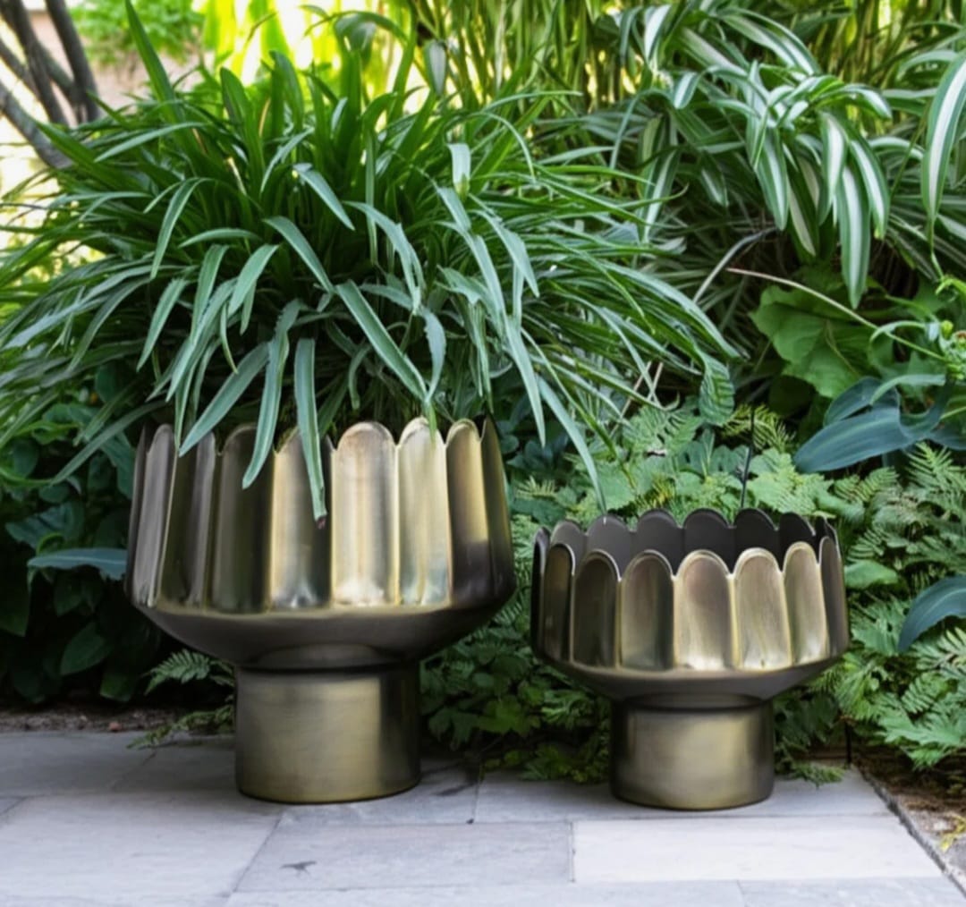 Dino Luxury planter set of 2