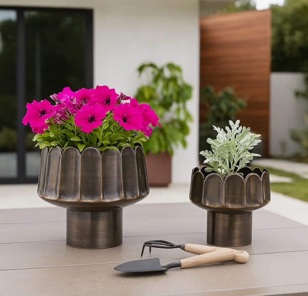 Dino Luxury planter set of 2