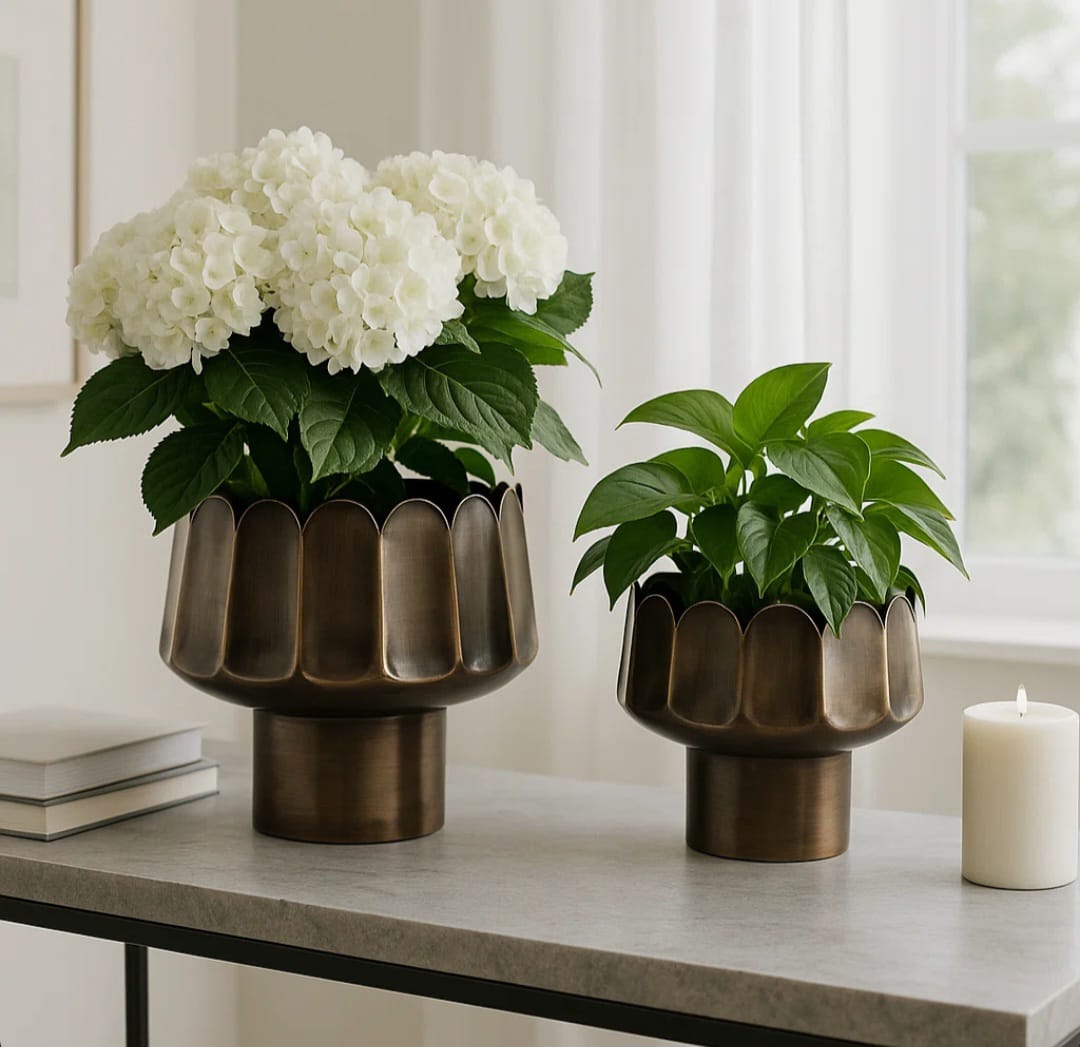 Dino Luxury planter set of 2