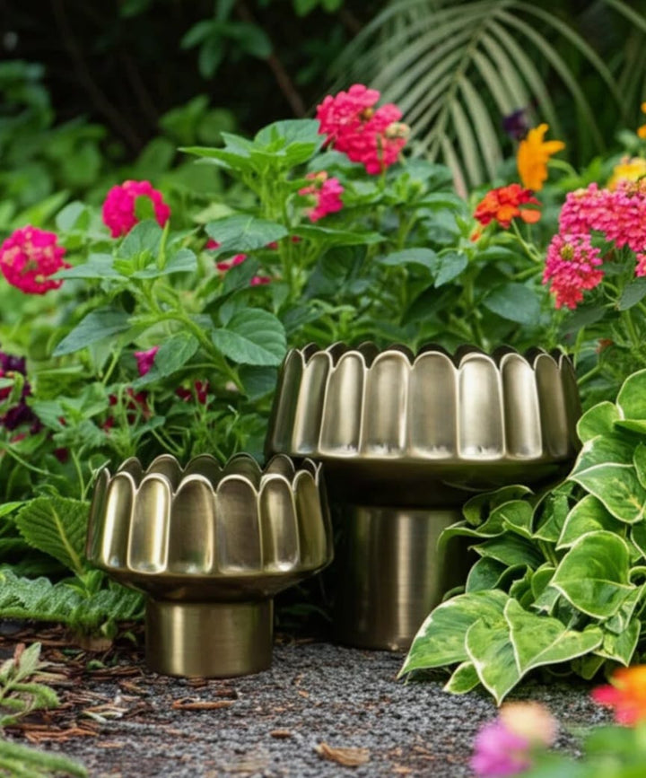 Dino Luxury planter set of 2