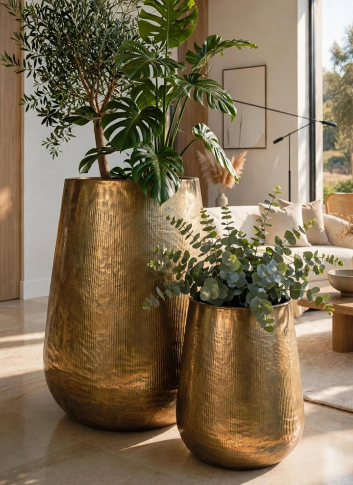LORIA Jumbo  Luxury Vintage pot  Planter Set of 2