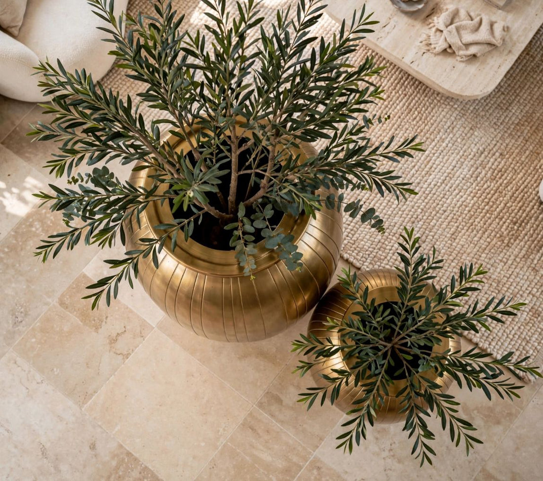 Ribod Luxury pot planter