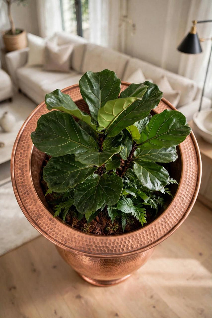 Antique Rose gold luxury pot planter