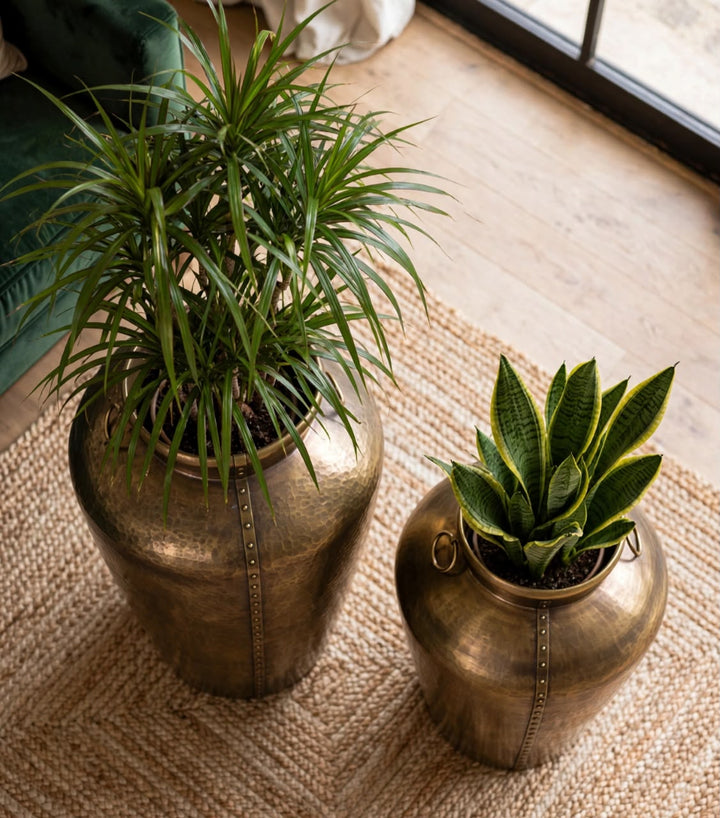 Royal Luxury pot planter set of 2
