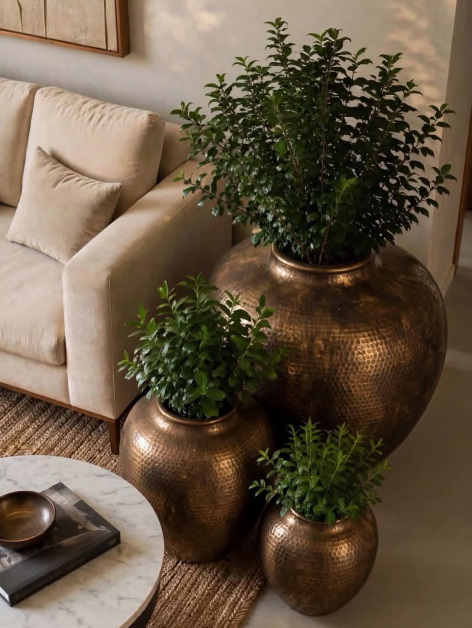 JUNGLE Luxury  Hammered Brass POT Planter Set 3
