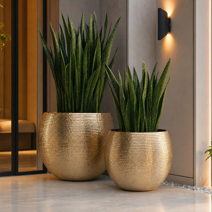 Solara Planter Set of 2