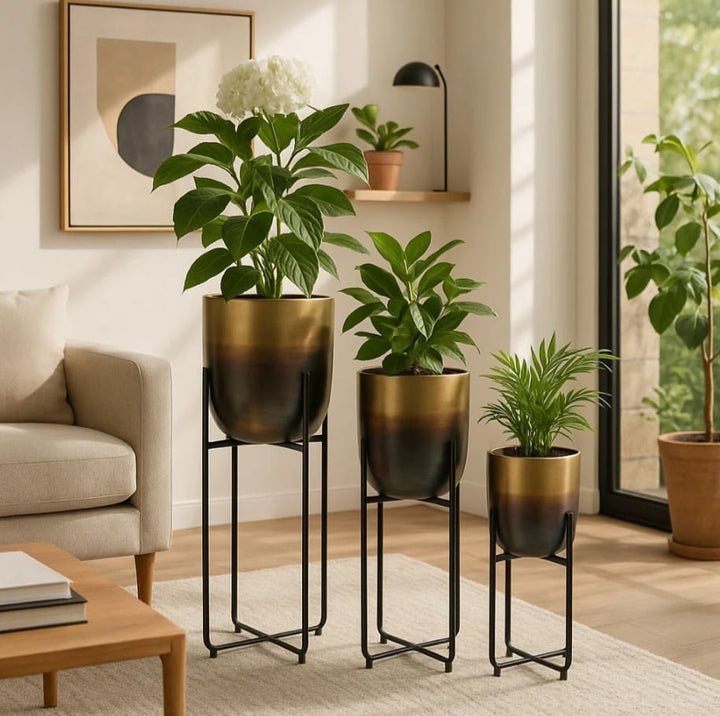 Vinus planter set of 3