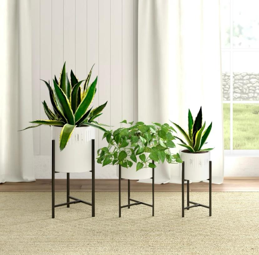 Eora planter set of 3