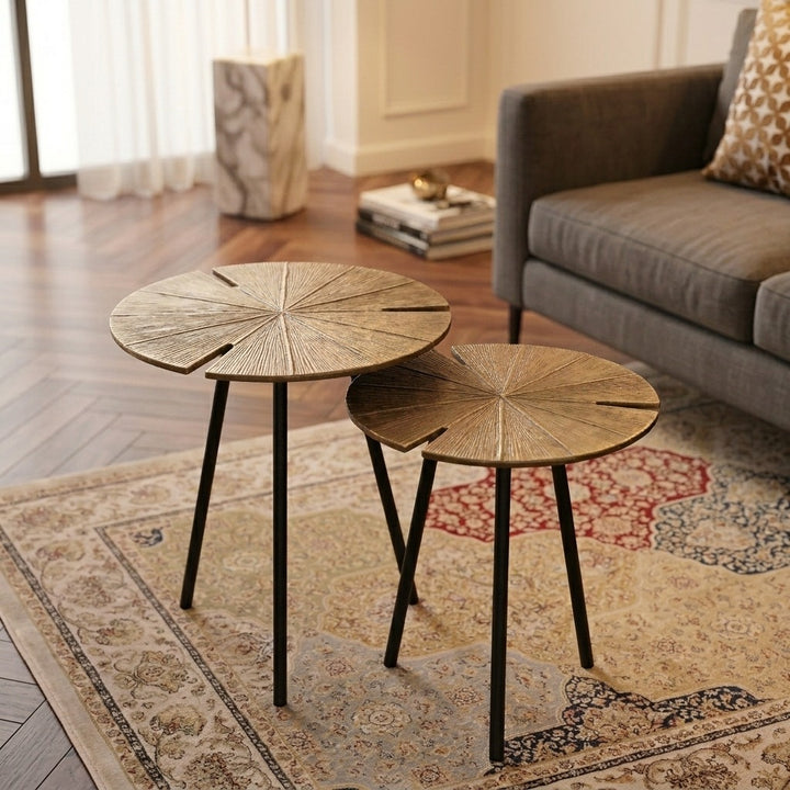 Evaan Drop Leaf Coffee Table Set of 2