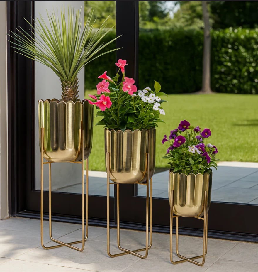 Magnolia   Planters   Set   of   3