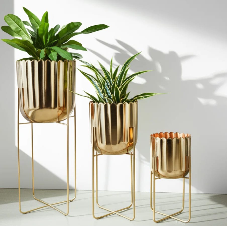 Magnolia   Planters   Set   of   3