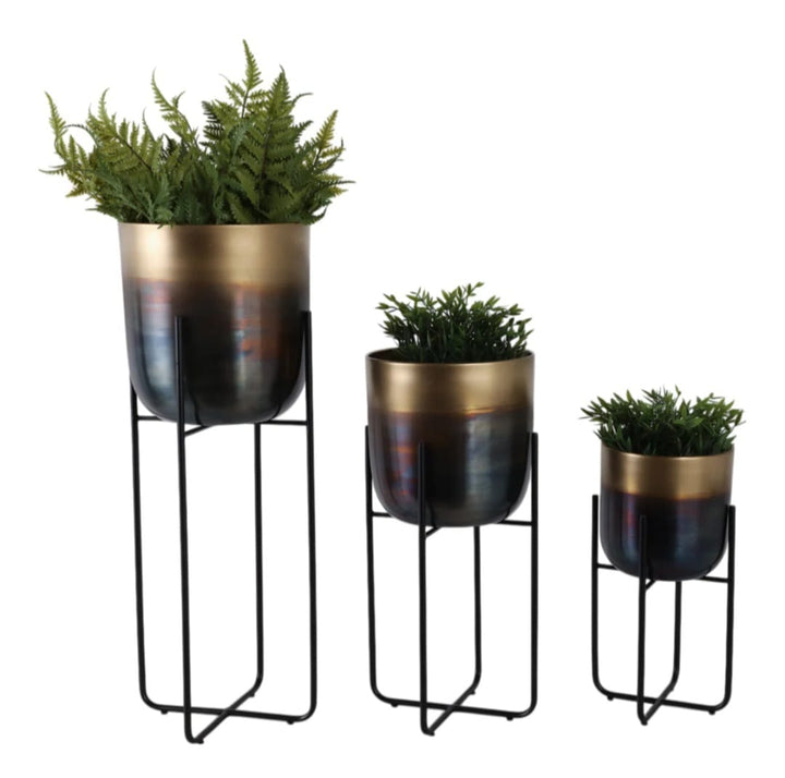 Vinus planter set of 3