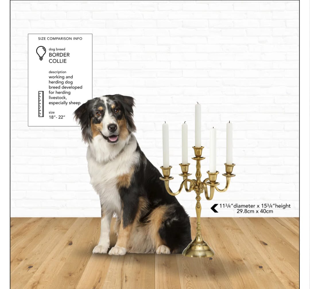 vara   Black   5   Arm   Candleholder