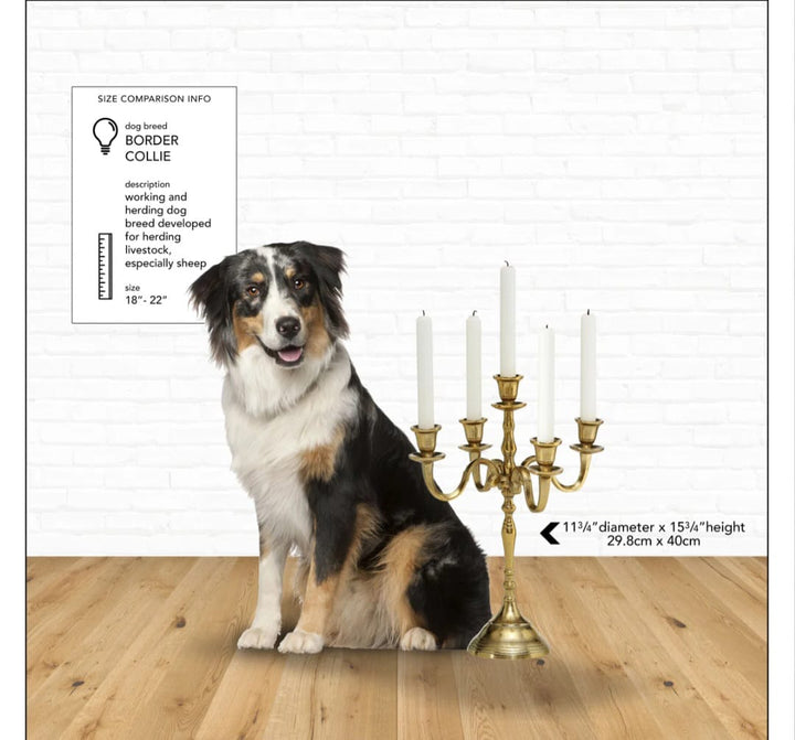 vara   Black   5   Arm   Candleholder