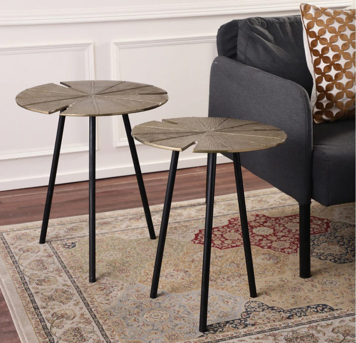 Evaan Drop Leaf Coffee Table Set of 2