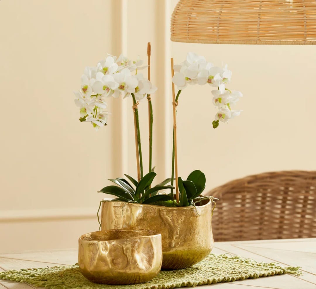 Hilox Planters Set of 2