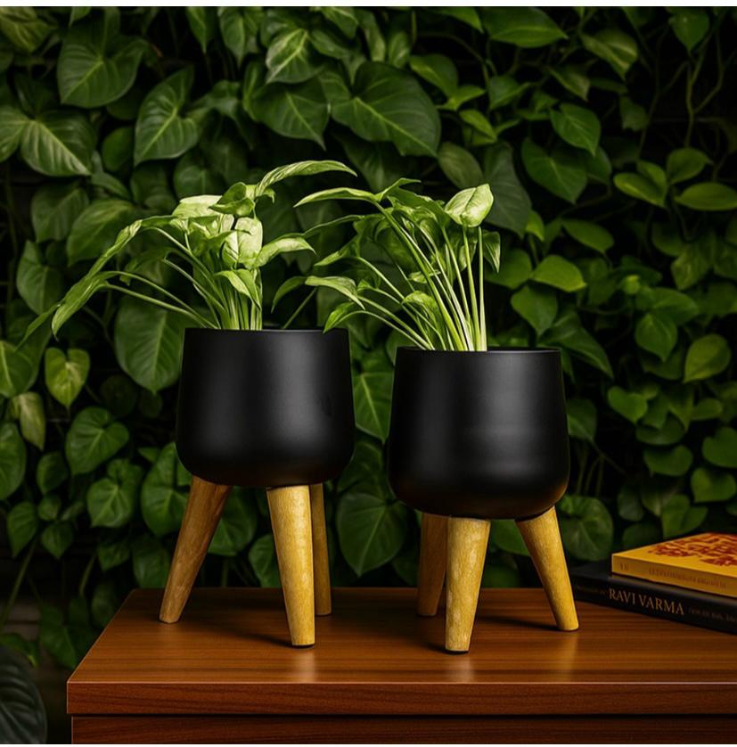 SOHA  Planter   Set   of   2   w/Faux   Leaves