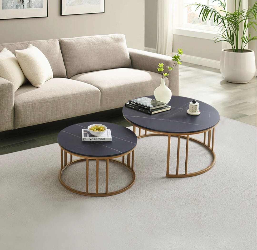 Roxa nesting coffe table set of 2