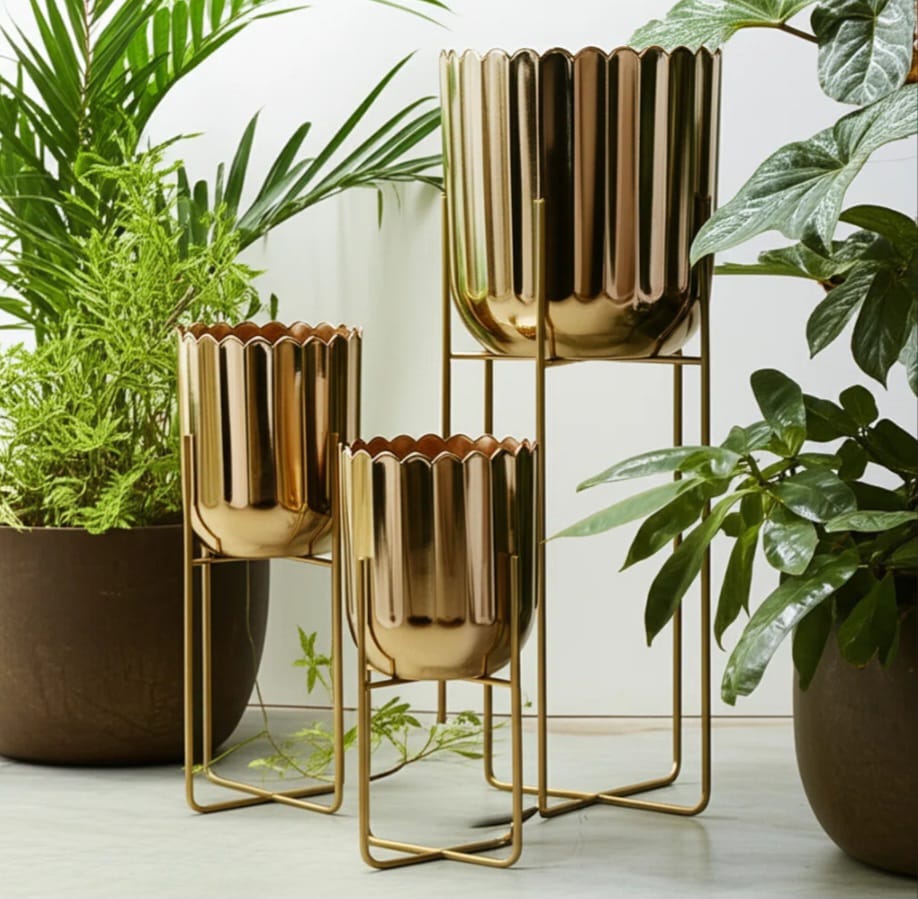 Magnolia   Planters   Set   of   3