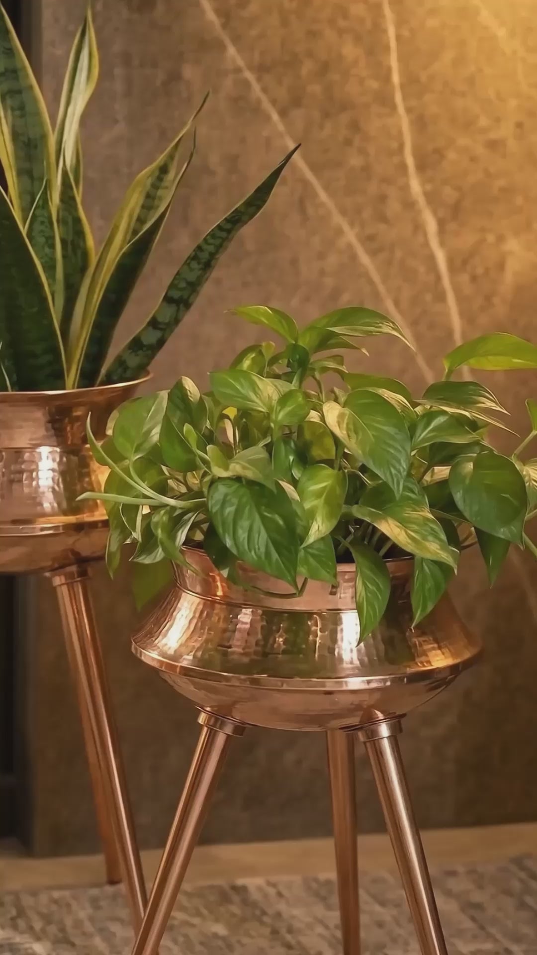 Masa  Luxury Planters Set of 2