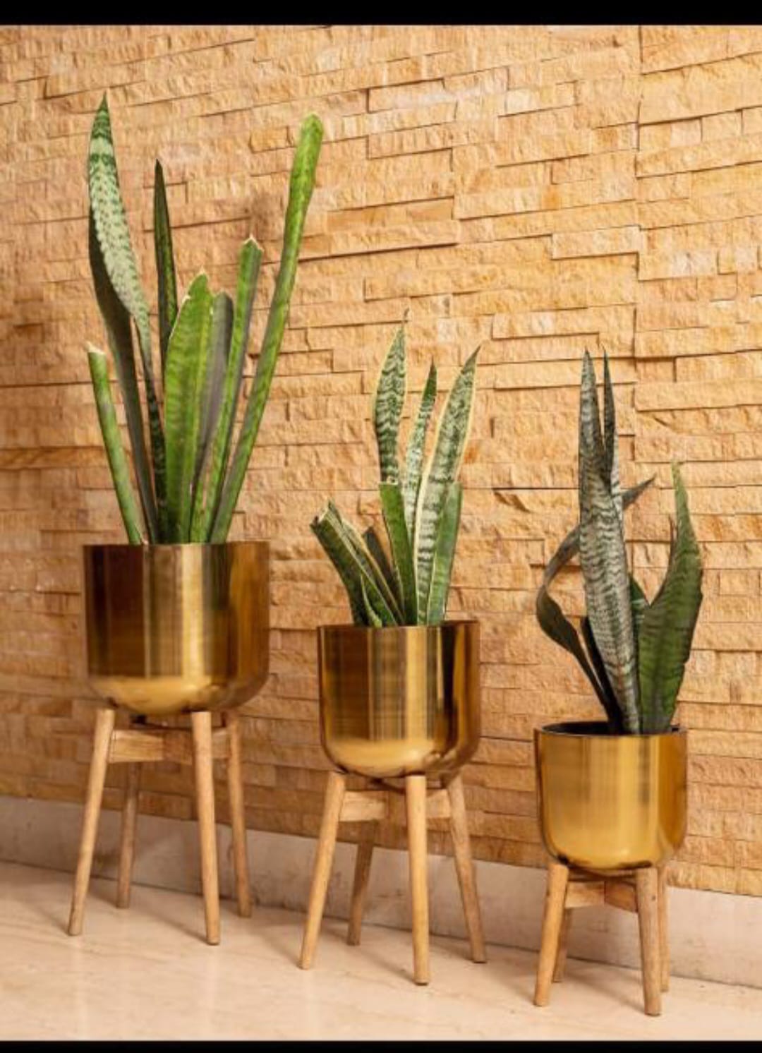 Margo  Planter Set of 3