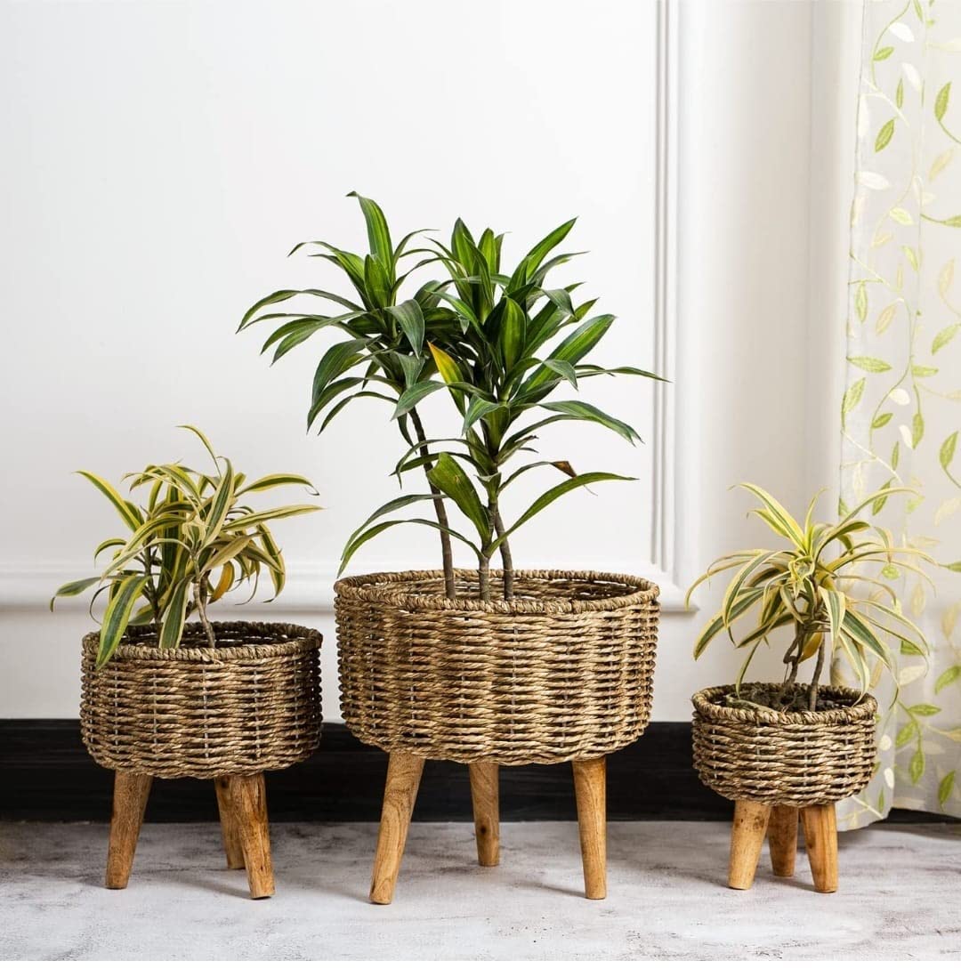 Salar jutt planter set of 3