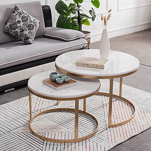 HOMEROX Adans Metal and Marble Centre/Nesting/Coffe Table Set of 2 for Living Room