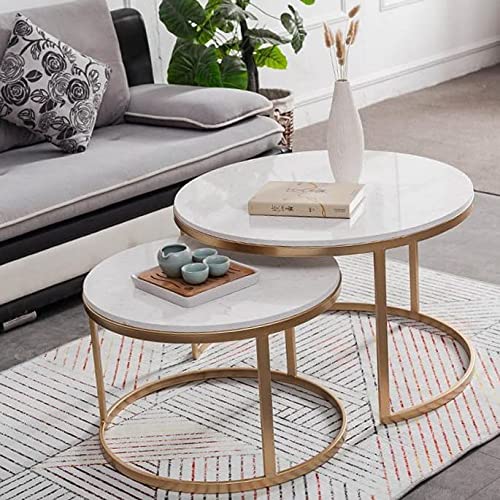 HOMEROX Adans Metal and Marble Centre/Nesting/Coffe Table Set of 2 for Living Room